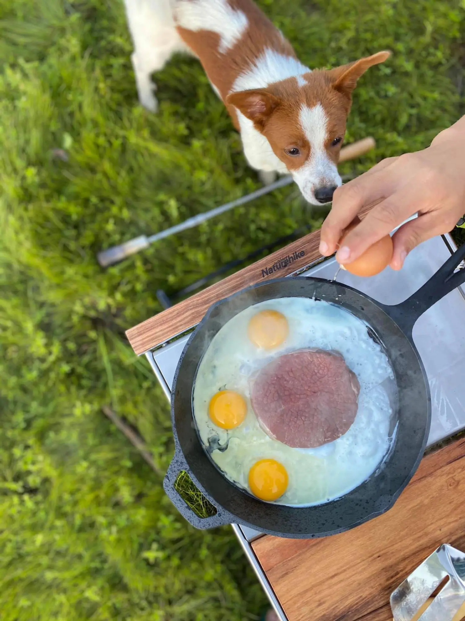 Buổi chiều ngồi chill - Cùng Tâm Tour cắm trại giữa núi rừng Nha Trang đẹp tựa tranh vẽ 8