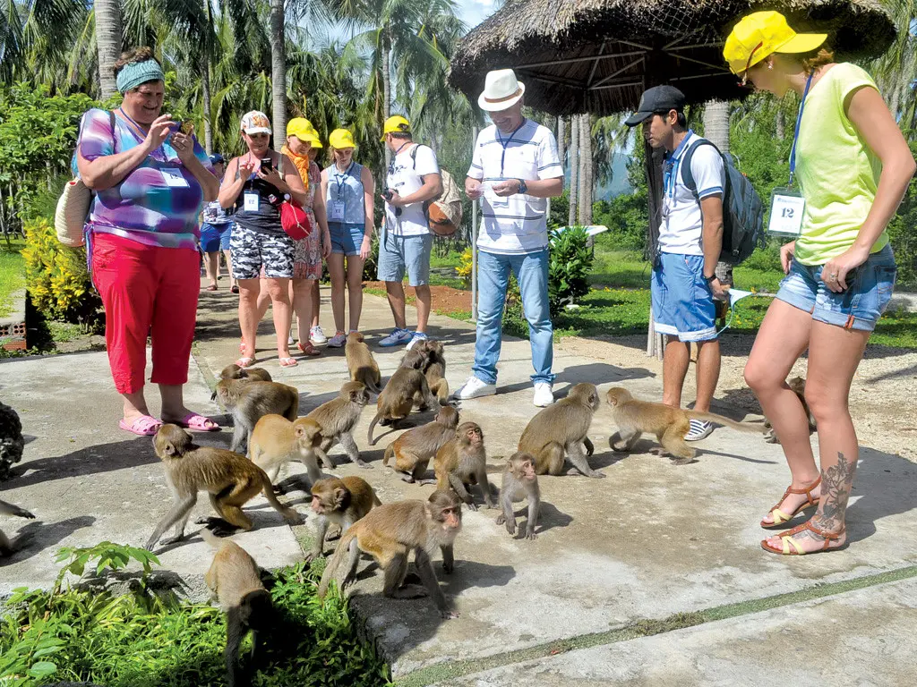 Lạc lối ở Vịnh Nha Phu - Thi&ecirc;n đường nhiệt đới trong l&ograve;ng biển cả 10