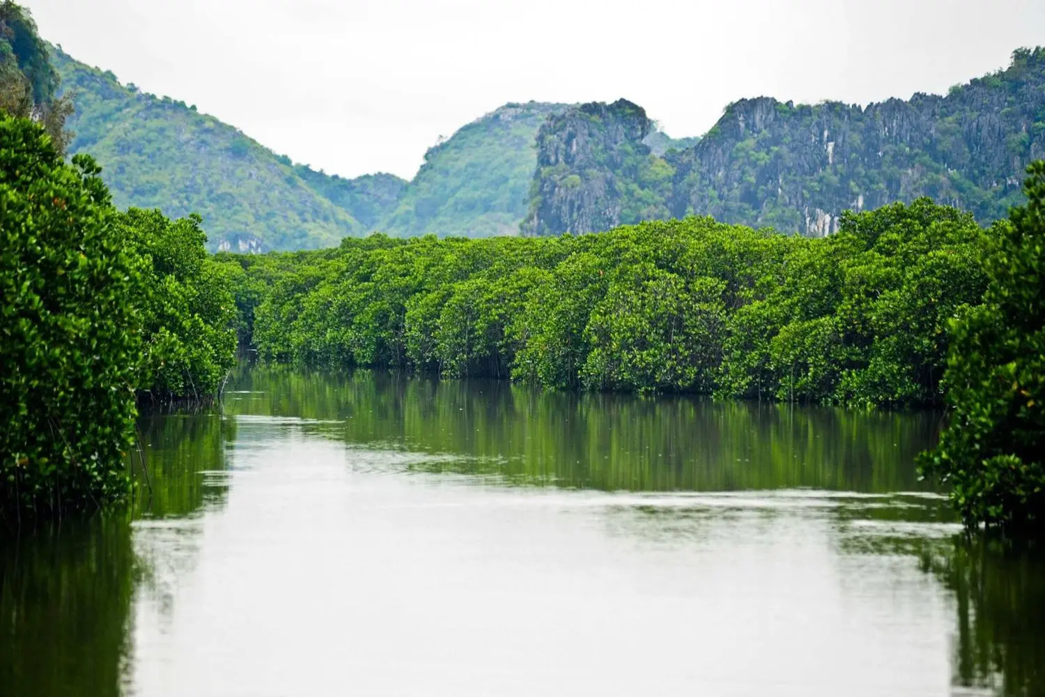 Lạc lối ở Vịnh Nha Phu - Thi&ecirc;n đường nhiệt đới trong l&ograve;ng biển cả 22