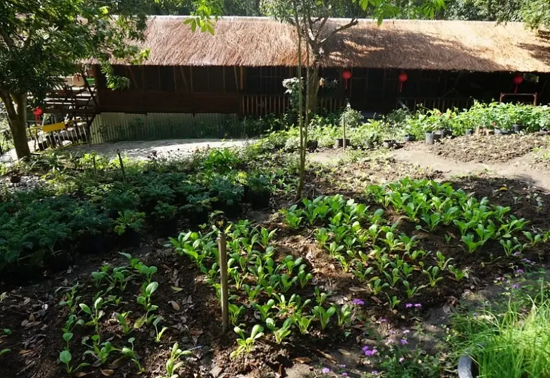 L&agrave;ng Nhỏ - Hồ L&aacute;ng Nhớt: Nơi nghỉ dưỡng thư th&aacute;i l&yacute; tưởng 15