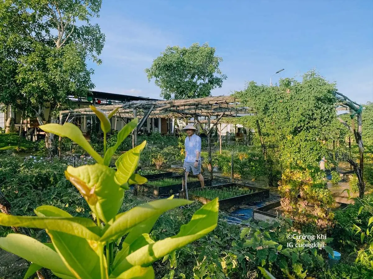 Phan Gia Xanh Garden - C&oacute; một khu vườn mộng mơ gần Nha Trang xinh đẹp 7