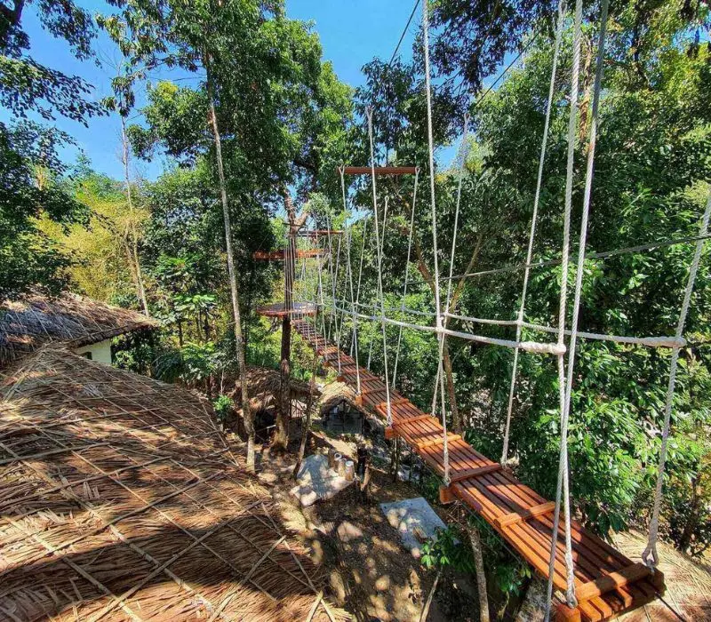 Khám phá Công viên thám hiểm Kong Forest lớn nhất Việt Nam