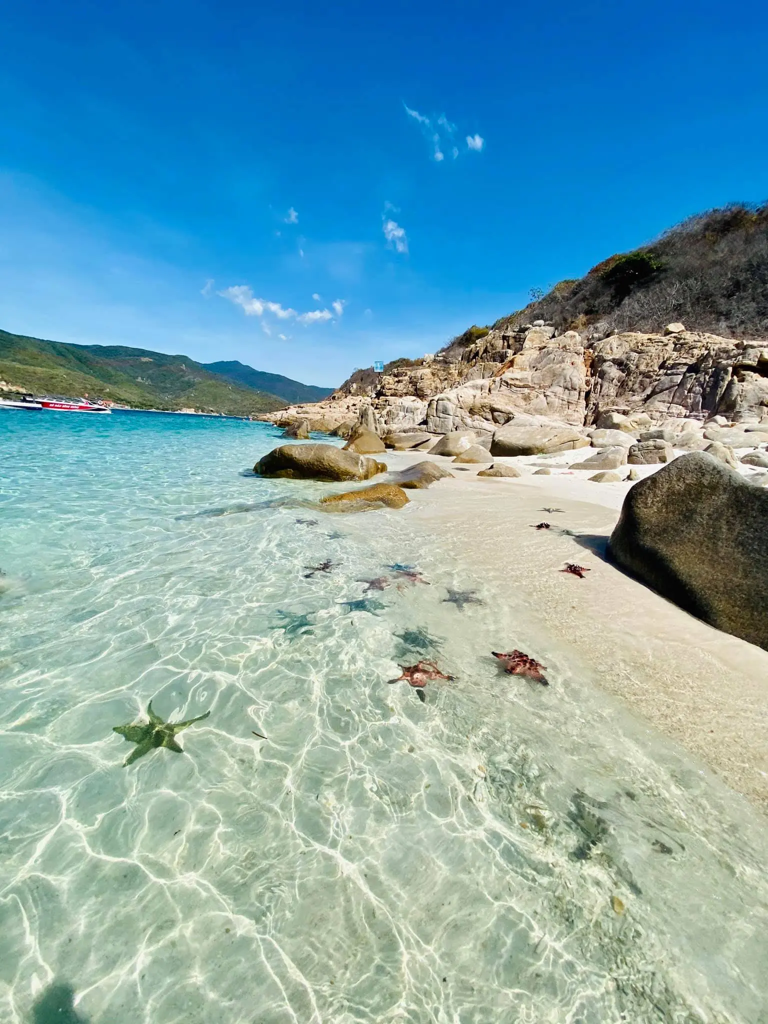 Lịch trình khám phá đảo Bình Hưng 1 ngày dành cho các travelholic chính hiệu 2