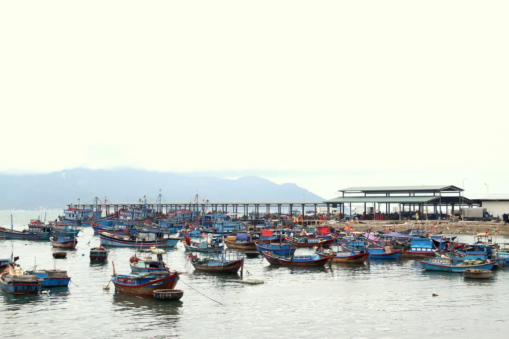 Lịch tr&igrave;nh kh&aacute;m ph&aacute; Đảo Khỉ - Suối Hoa Lan trong 1 ng&agrave;y duy nhất 4