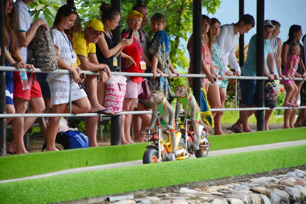 Lịch tr&igrave;nh kh&aacute;m ph&aacute; Đảo Khỉ - Suối Hoa Lan trong 1 ng&agrave;y duy nhất 10