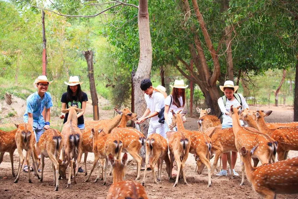 Lịch tr&igrave;nh kh&aacute;m ph&aacute; Đảo Khỉ - Suối Hoa Lan trong 1 ng&agrave;y duy nhất 9