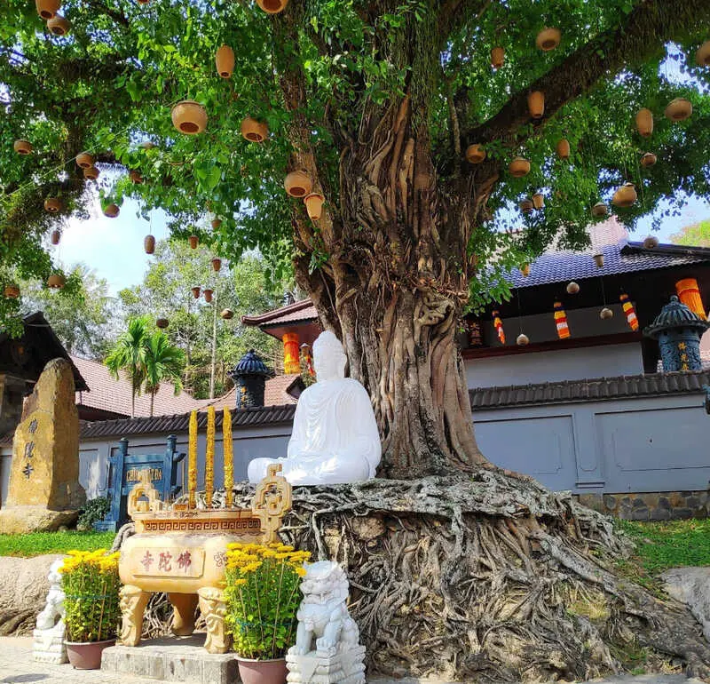 Ch&ugrave;a Phật Đ&agrave; (ch&ugrave;a L&ograve; Gạch) H&agrave; Ti&ecirc;n, điểm đến t&acirc;m linh ấn tượng 7