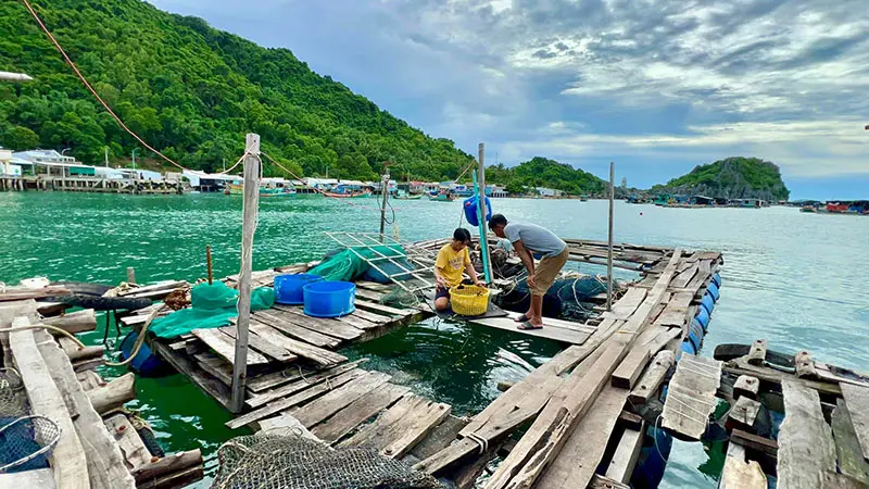 Đảo H&ograve;n Nghệ, vi&ecirc;n ngọc th&ocirc; ẩn m&igrave;nh giữa xứ biển Ki&ecirc;n Giang 12