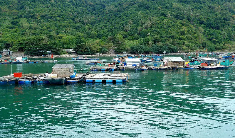 Đảo H&ograve;n Nghệ, vi&ecirc;n ngọc th&ocirc; ẩn m&igrave;nh giữa xứ biển Ki&ecirc;n Giang 11