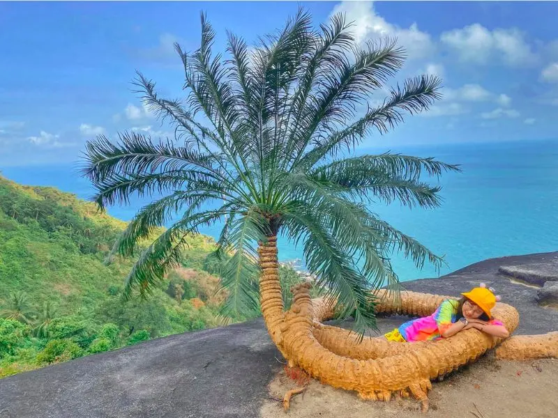 Đỉnh &Ocirc;ng Rồng H&ograve;n Sơn với n&eacute;t đẹp thi&ecirc;n nhi&ecirc;n kỳ vĩ 6
