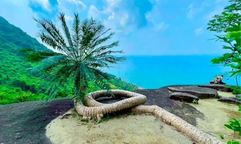 Đỉnh &Ocirc;ng Rồng H&ograve;n Sơn với n&eacute;t đẹp thi&ecirc;n nhi&ecirc;n kỳ vĩ 3