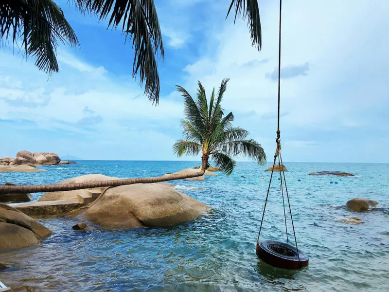 Những địa điểm Du lịch H&ograve;n Tre m&agrave; bạn kh&ocirc;ng được bỏ qua 5