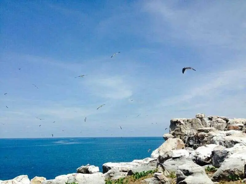T&igrave;m về Quần đảo Thổ Chu, v&ugrave;ng đất hoang sơ ngo&agrave;i khơi xa 9
