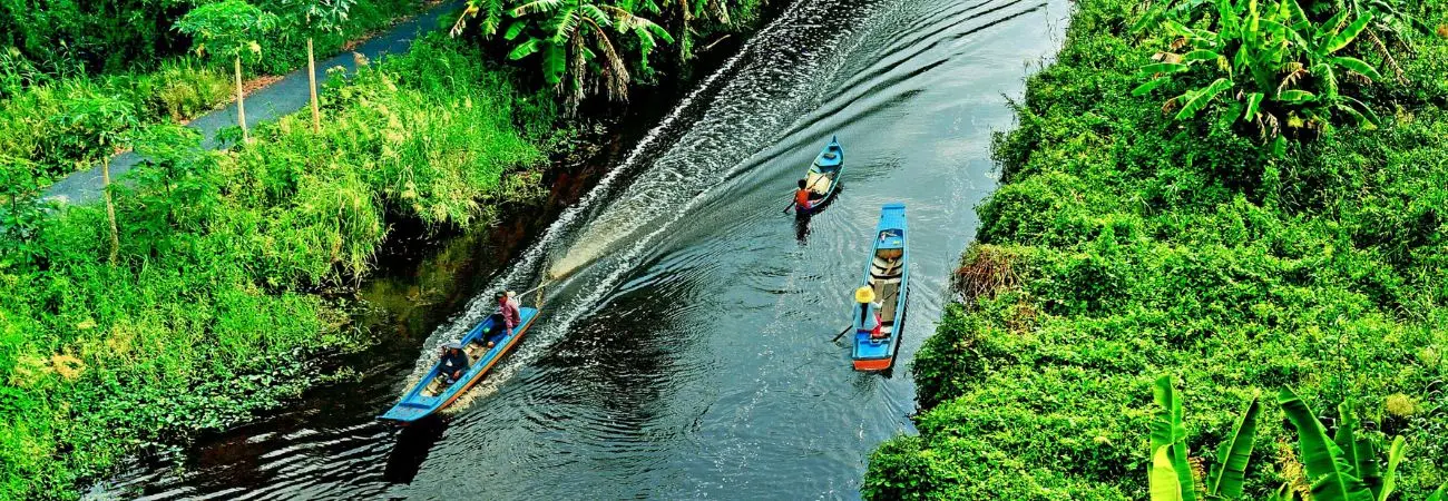 Rừng quốc gia U Minh Thượng và những điều chưa ai kể với bạn