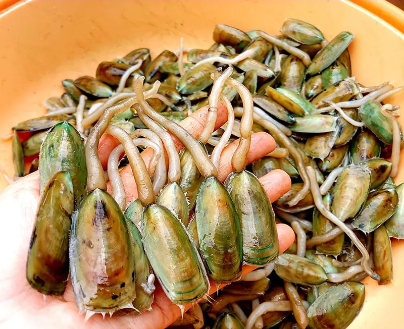 C&agrave; xỉu, đặc sản Ki&ecirc;n Giang độc lạ khiến bao người m&ecirc; mẩn 2