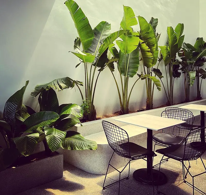 Hy the coffee shop và không gian cà phê trẻ trung, hiện đại 3