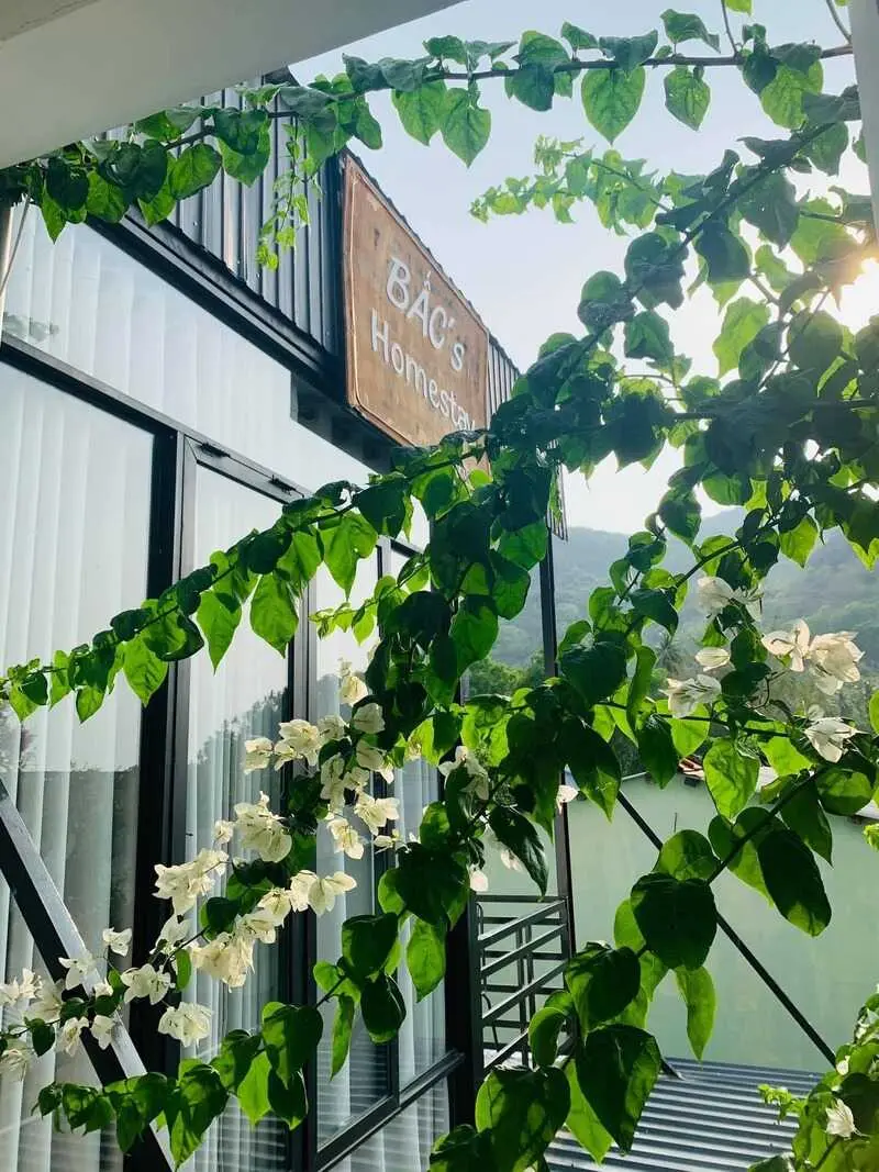 The Bấc's Homestay, không gian yên bình tại Hòn Sơn 3