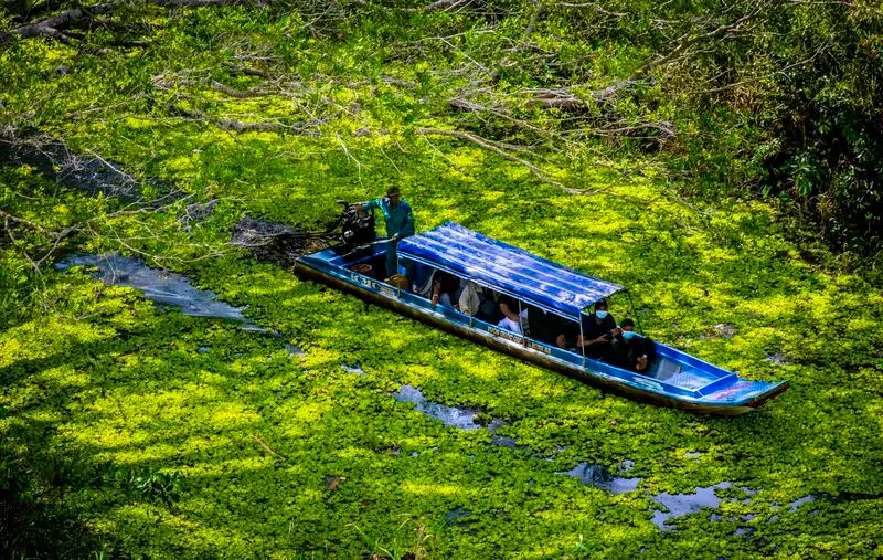 Vườn quốc gia U Minh Thượng: Di sản thiên nhiên Miệt Thứ 4