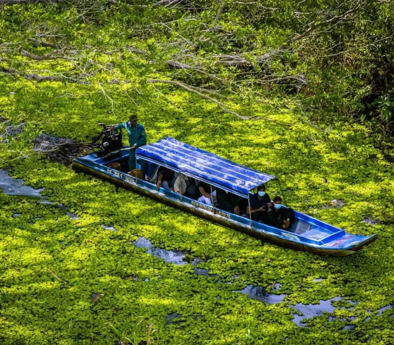 Vườn quốc gia U Minh Thượng: Di sản thiên nhiên Miệt Thứ