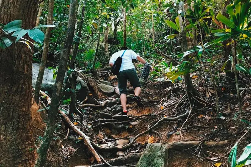 Lịch tr&igrave;nh du lịch Rạch Gi&aacute; H&ograve;n Sơn 2N1Đ từ A đến Z 4