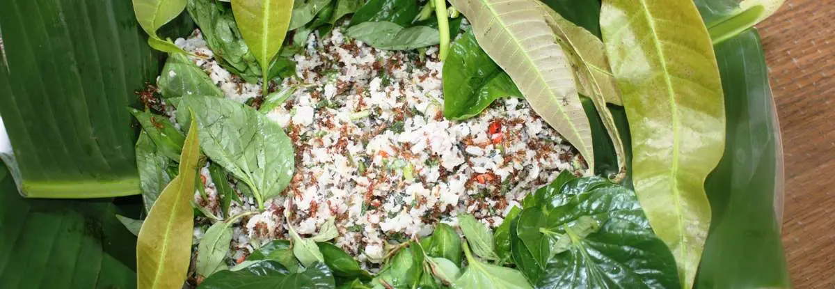 Cá gỏi kiến vàng, đặc sản độc đáo của người dân Rơ Măm