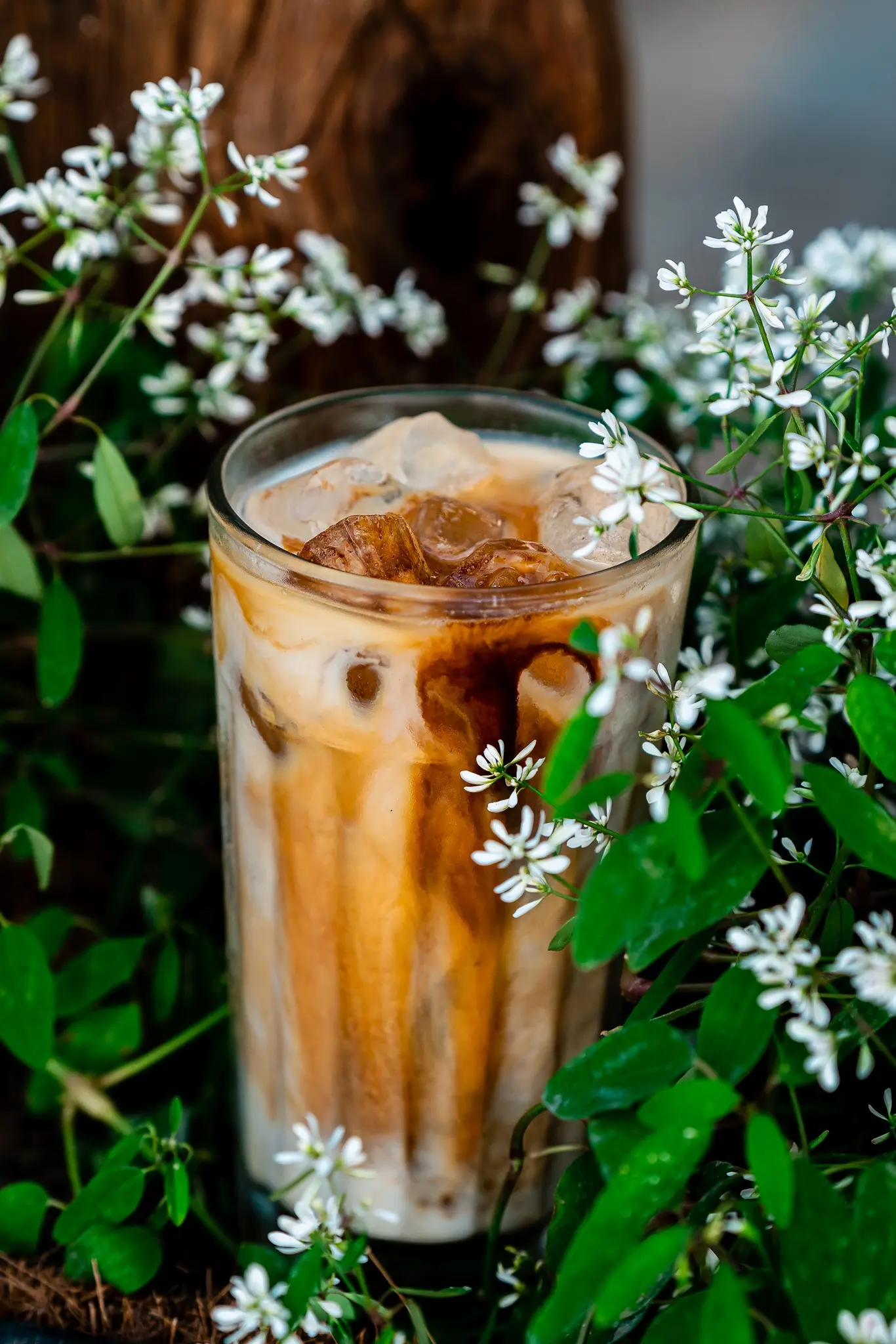 Bạch Dương Coffee Bistro ẩn hiện h&ograve;a m&igrave;nh chốn n&uacute;i rừng Kon Tum 8