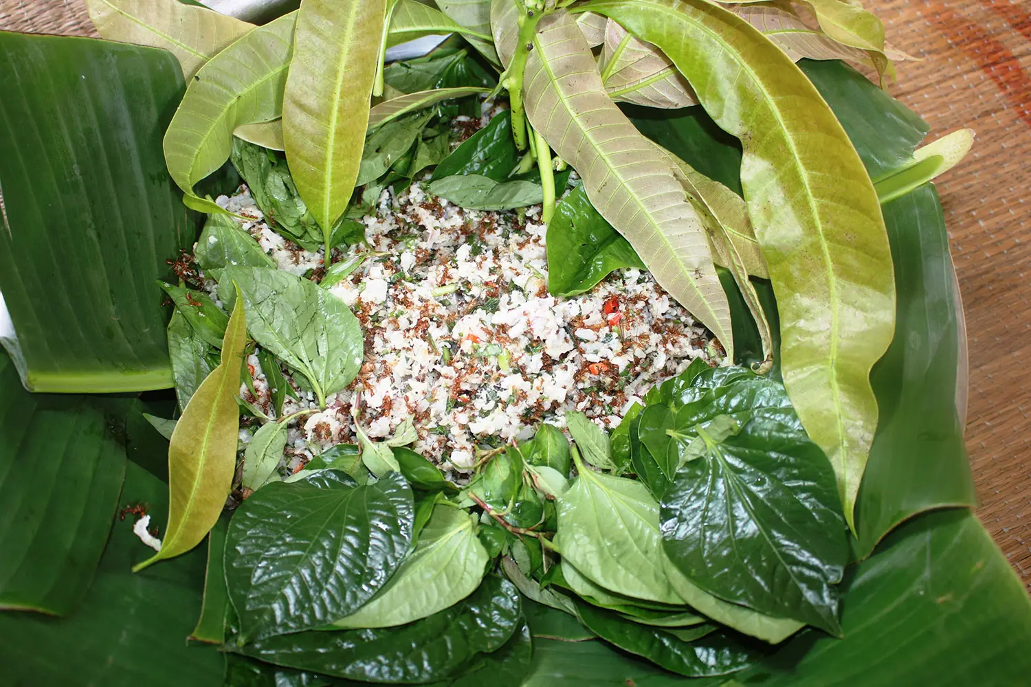 Cá gỏi kiến vàng, đặc sản độc đáo của người dân Rơ Măm 8