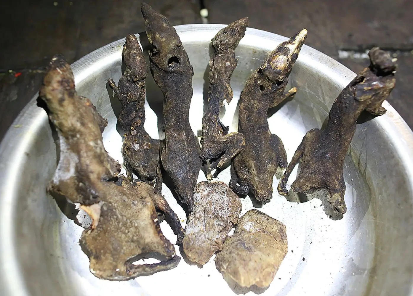 Chuột Ngọc Linh, m&oacute;n ăn đ&atilde;i kh&aacute;ch qu&yacute; của người d&acirc;n Xơ Đăng 5