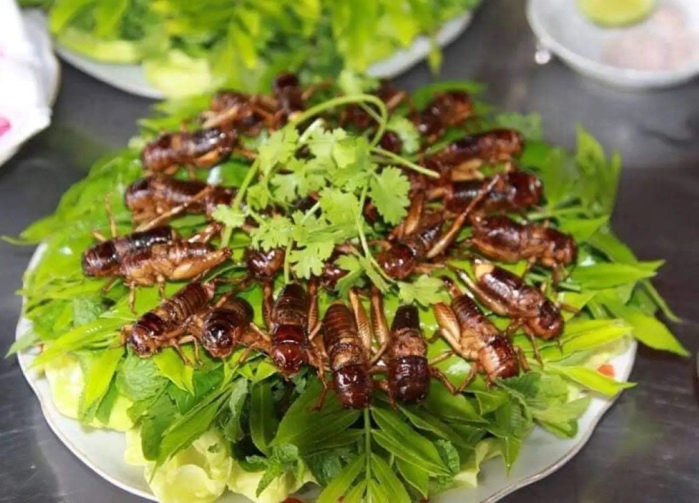 Dế chi&ecirc;n Kon Tum, m&oacute;n ăn đặc sản nổi tiếng ở v&ugrave;ng đất T&acirc;y Nguy&ecirc;n 3