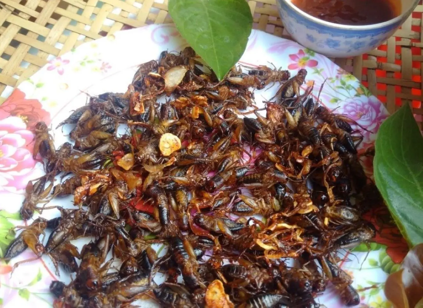 Dế chi&ecirc;n Kon Tum, m&oacute;n ăn đặc sản nổi tiếng ở v&ugrave;ng đất T&acirc;y Nguy&ecirc;n 5