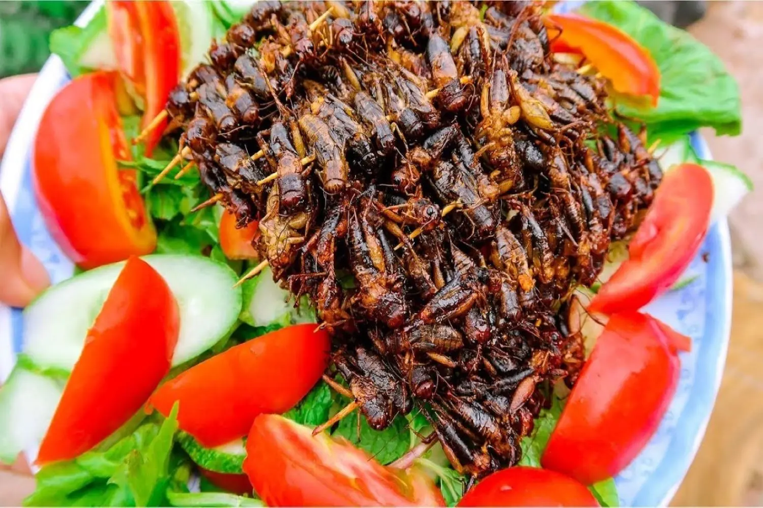 Dế chi&ecirc;n Kon Tum, m&oacute;n ăn đặc sản nổi tiếng ở v&ugrave;ng đất T&acirc;y Nguy&ecirc;n 6