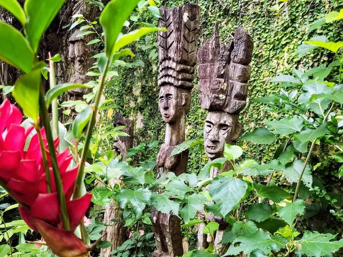 Eva Cafe, nơi hòa mình vào cảnh sắc đại ngàn Tây Nguyên 5