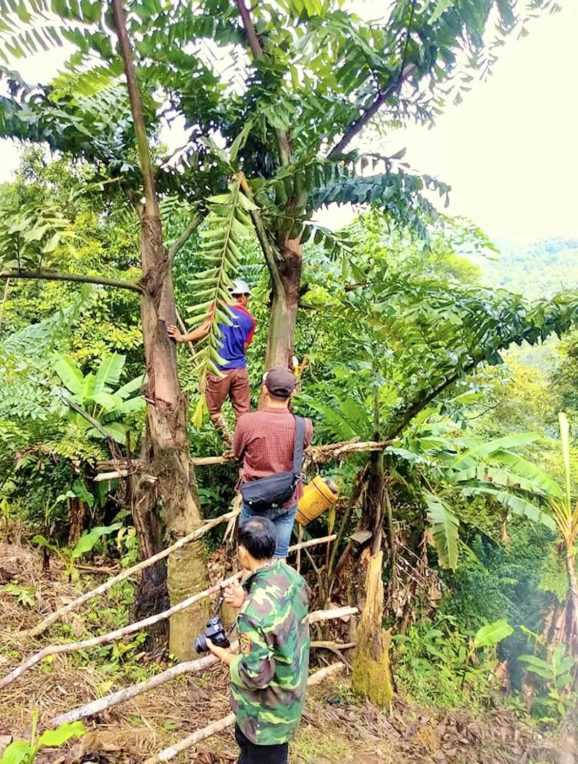 Rượu Đo&aacute;c Kon Tum, thức uống truyền thống của người d&acirc;n x&atilde; Ngọc Tem 4