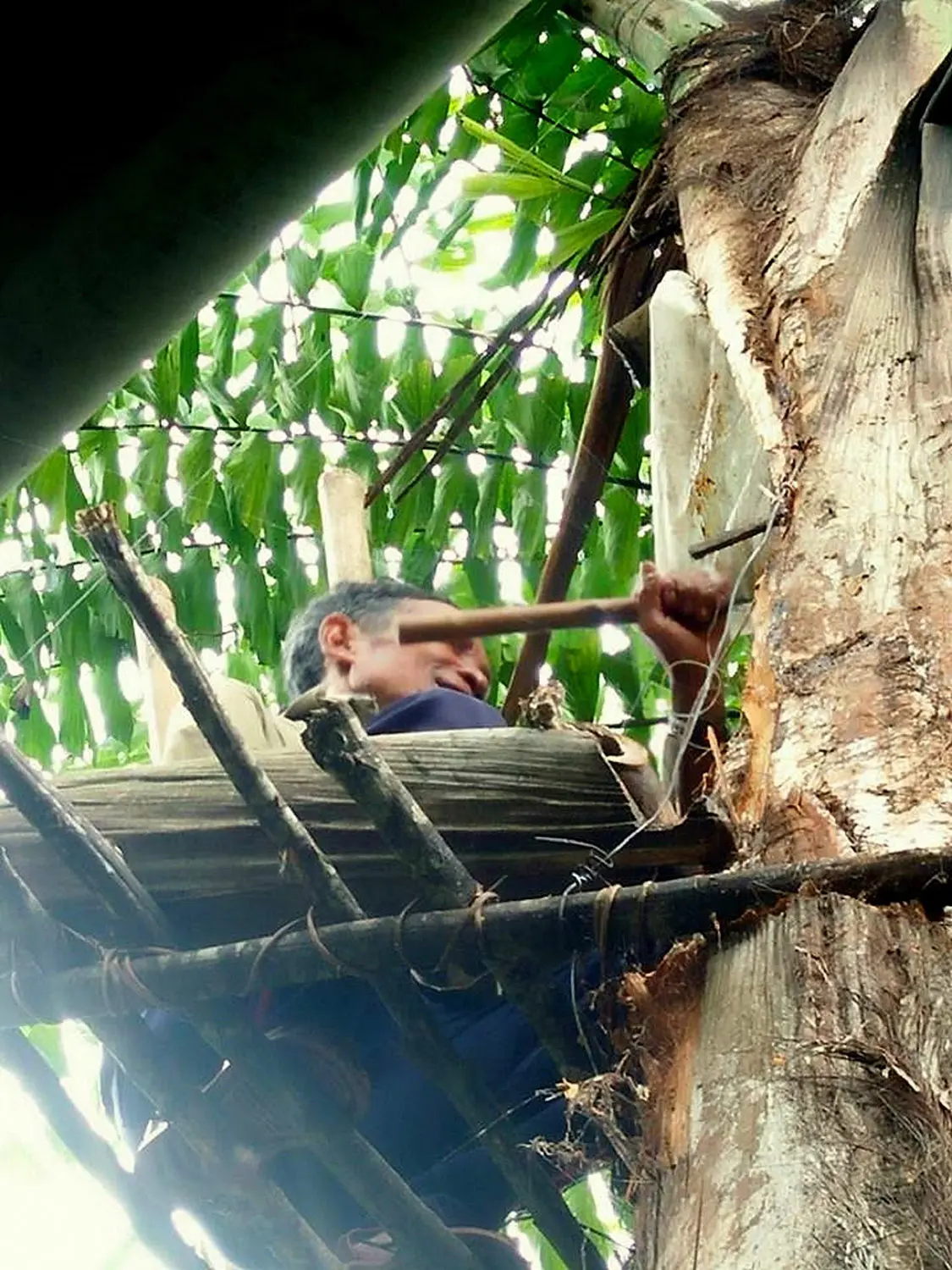 Rượu Đo&aacute;c Kon Tum, thức uống truyền thống của người d&acirc;n x&atilde; Ngọc Tem 6