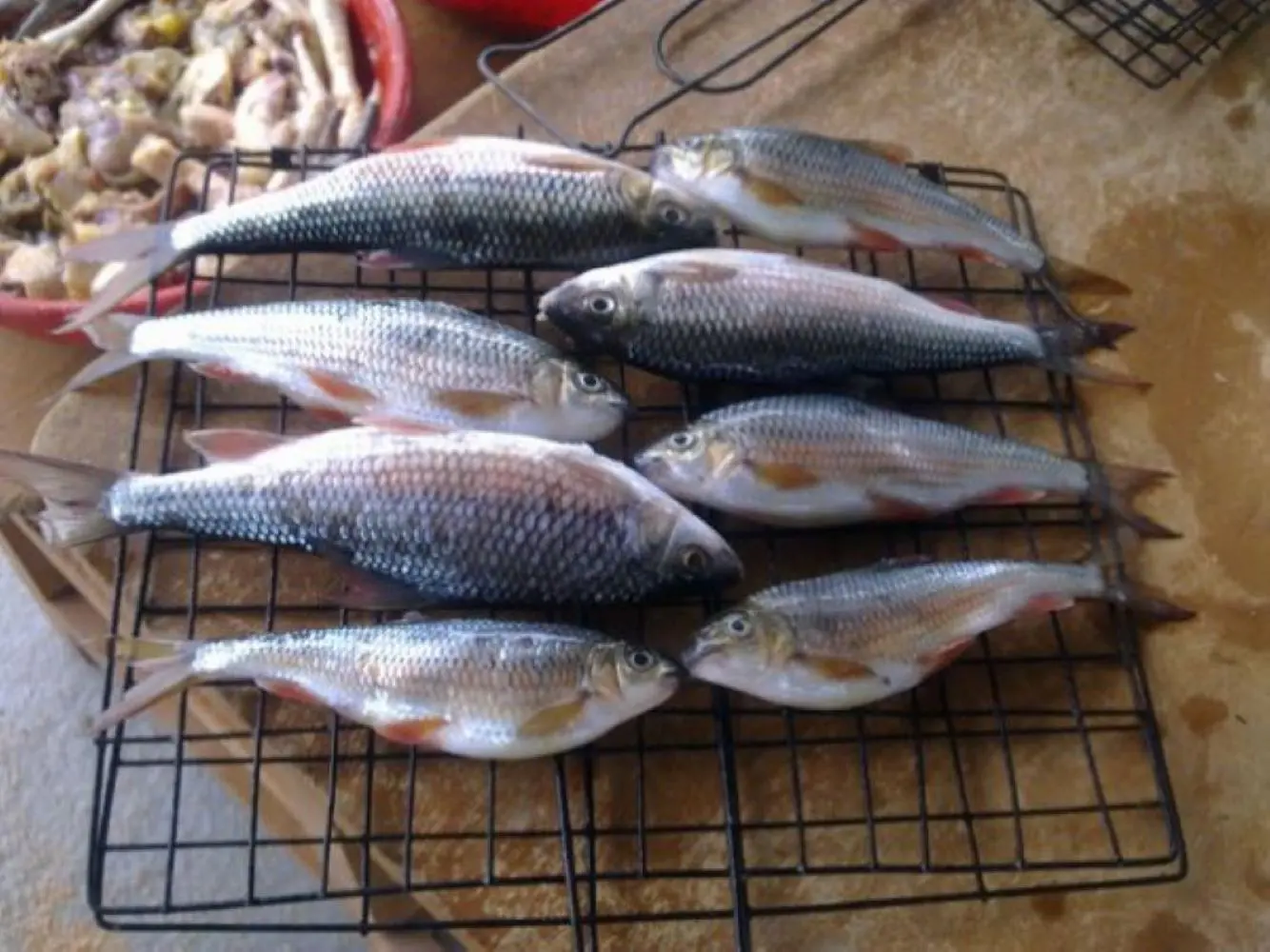 Thưởng thức C&aacute; Ni&ecirc;ng đặc sản của người d&acirc;n huyện Đăk Glei, Kon Tum 2