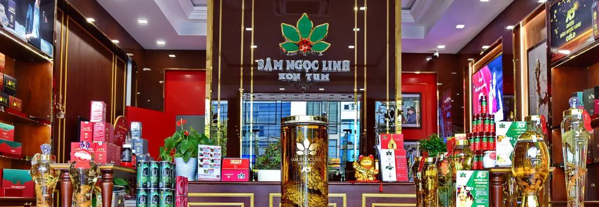 Sâm Ngọc Linh, ‘quốc bảo Việt Nam’ dành cho sức khỏe