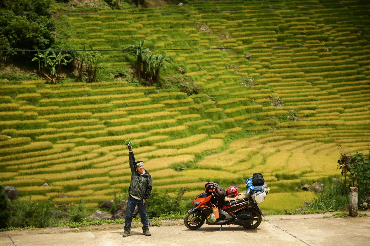 Chi&ecirc;m ngưỡng Ruộng bậc thang Ngọc Linh đẹp m&ecirc; hồn tr&ecirc;n cao nguy&ecirc;n h&ugrave;ng vĩ 2