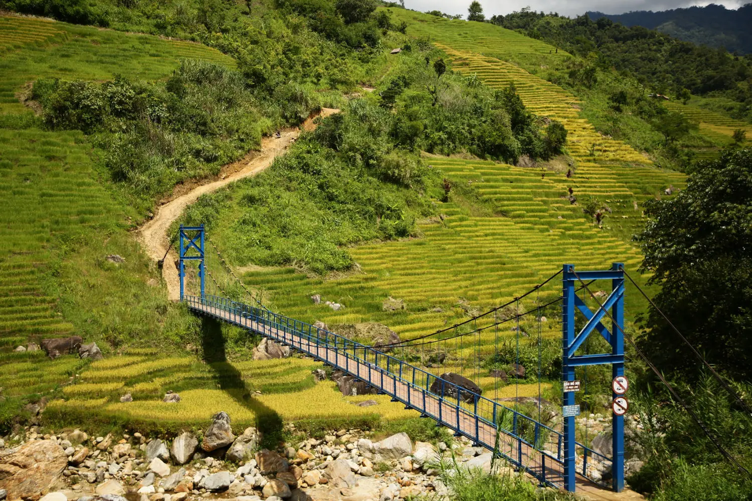 Chi&ecirc;m ngưỡng Ruộng bậc thang Ngọc Linh đẹp m&ecirc; hồn tr&ecirc;n cao nguy&ecirc;n h&ugrave;ng vĩ 9