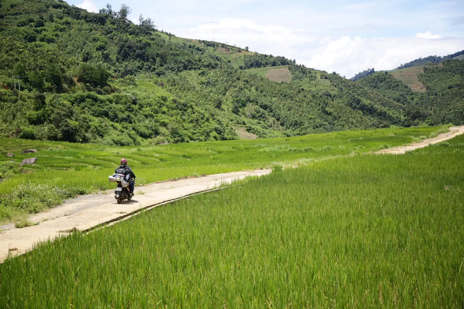 Chi&ecirc;m ngưỡng Ruộng bậc thang Ngọc Linh đẹp m&ecirc; hồn tr&ecirc;n cao nguy&ecirc;n h&ugrave;ng vĩ 10