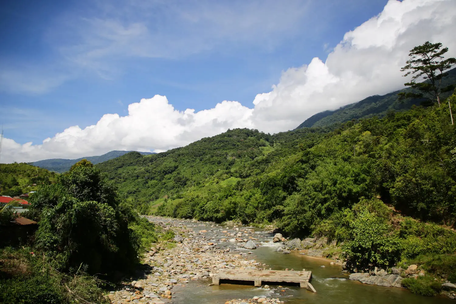 Chi&ecirc;m ngưỡng Ruộng bậc thang Ngọc Linh đẹp m&ecirc; hồn tr&ecirc;n cao nguy&ecirc;n h&ugrave;ng vĩ 7
