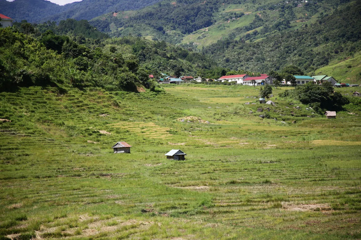 Chi&ecirc;m ngưỡng Ruộng bậc thang Ngọc Linh đẹp m&ecirc; hồn tr&ecirc;n cao nguy&ecirc;n h&ugrave;ng vĩ 5