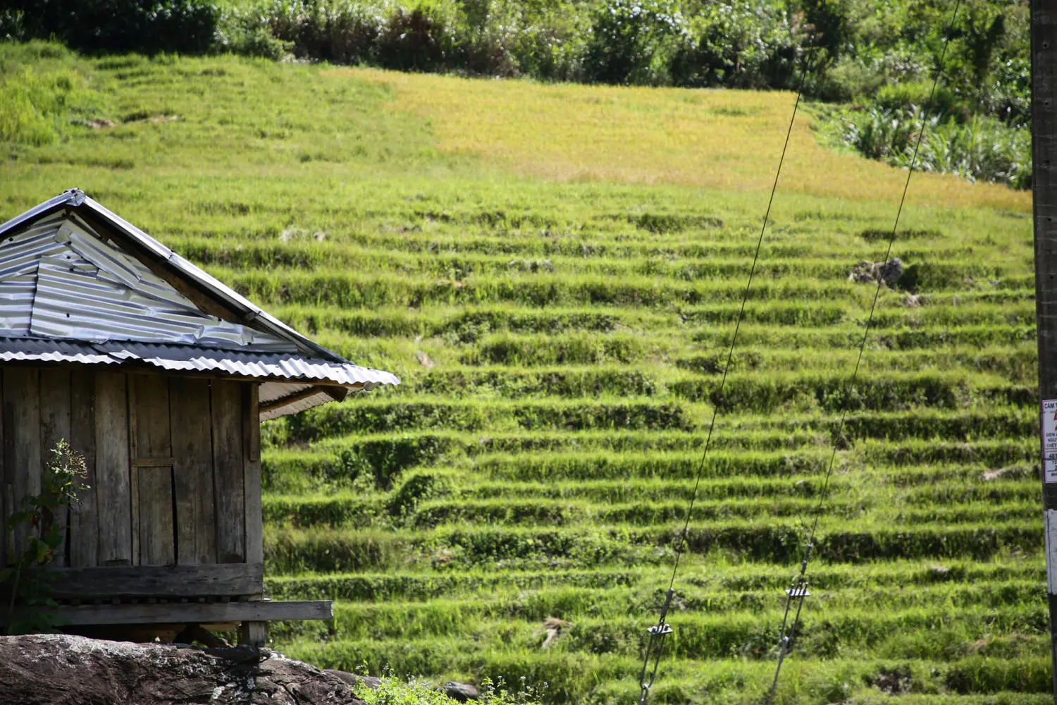 Chi&ecirc;m ngưỡng Ruộng bậc thang Ngọc Linh đẹp m&ecirc; hồn tr&ecirc;n cao nguy&ecirc;n h&ugrave;ng vĩ 6