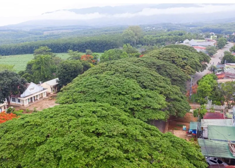 Khám phá Đăk Tô mảnh đất chiến lược điểm sáng của Bắc Tây Nguyên 4
