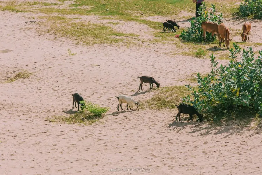 Lang thang Kon Tum khám phá bức tranh hùng vĩ nơi đại ngàn bình yên 10