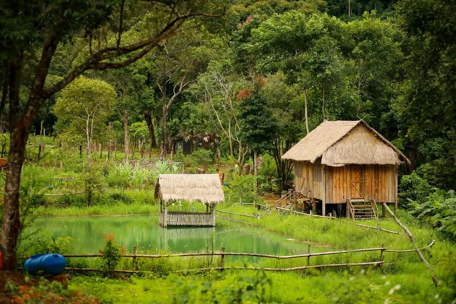 Măng Đen và hành trình bỏ phố về quê của cậu bạn Đô Đô 2