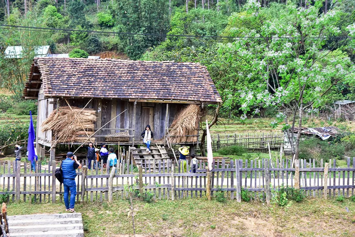 Review Măng Đen 2N2D, kh&uacute;c h&aacute;t du dương giữa đại ng&agrave;n 6