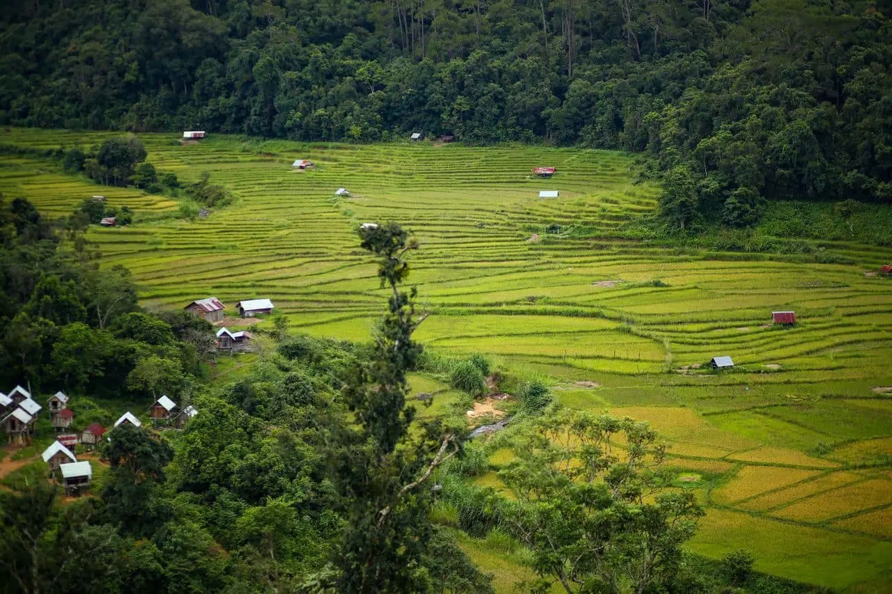 Ruộng bậc thang l&agrave;ng Kon Tu Rằng b&igrave;nh y&ecirc;n tr&ecirc;n cao nguy&ecirc;n thơ mộng 11