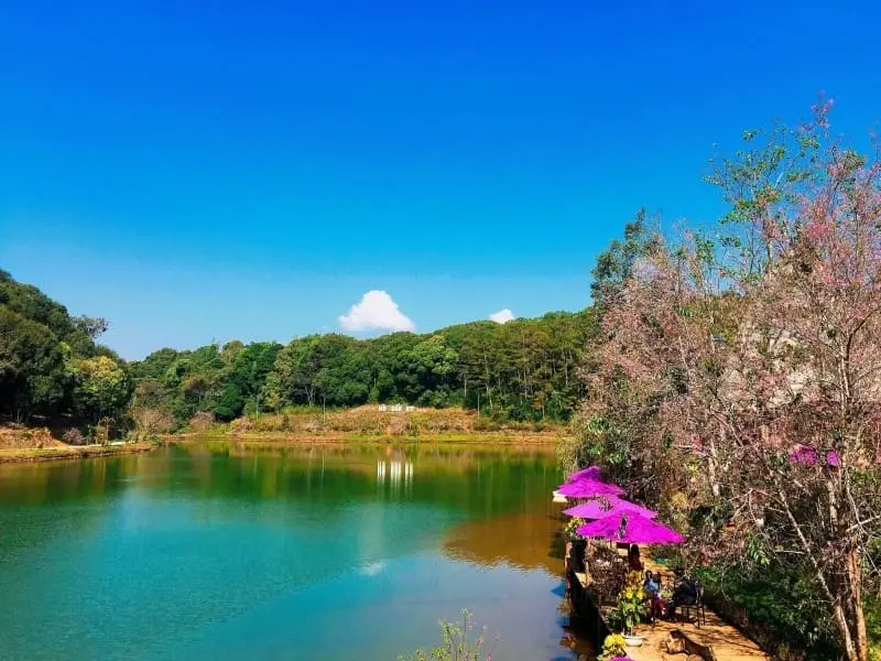 Trọn bộ kinh nghiệm du lịch Măng Đen, về nơi v&ugrave;ng cao thanh b&igrave;nh 5