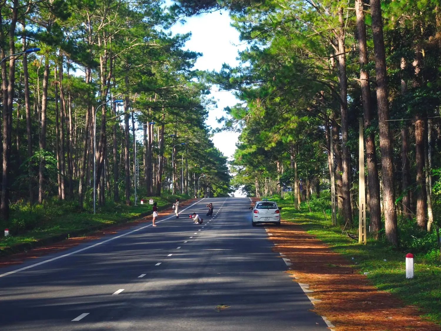 Đến rừng thông Măng Đen trải nghiệm 'Đà Lạt thứ hai' nơi Tây Nguyên đại ngàn
