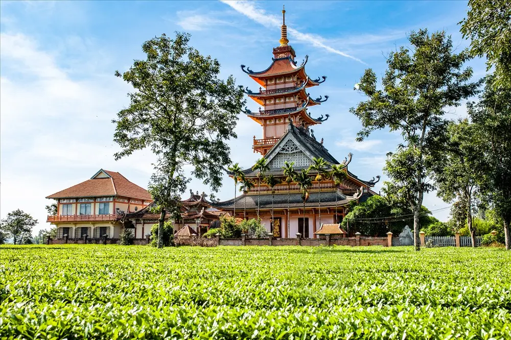 Khám phá Pleiku - Kon Tum - Măng Đen 4N3D cực thú vị 7